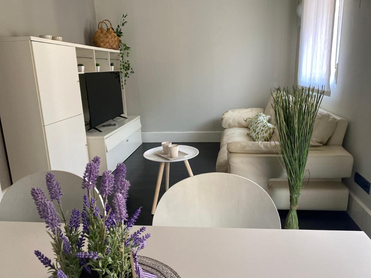 Apartamentos Logrono Centro, Tic Tac, Wifi エクステリア 写真